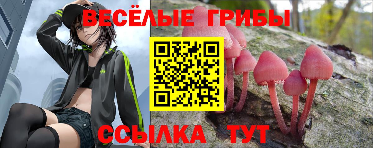 Галлюциногенные грибы Psilocybe Шебекино